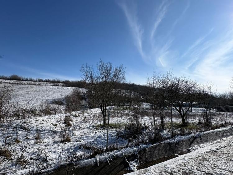 Teren intravilan 1.000 mp imprejmuit – Luncsoru, comuna Ghercesti - 4