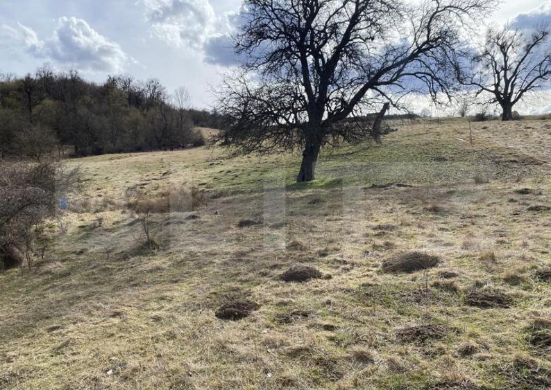 Teren extravilan in suprafata de 7500 mp la poalele Mesesulu - 3