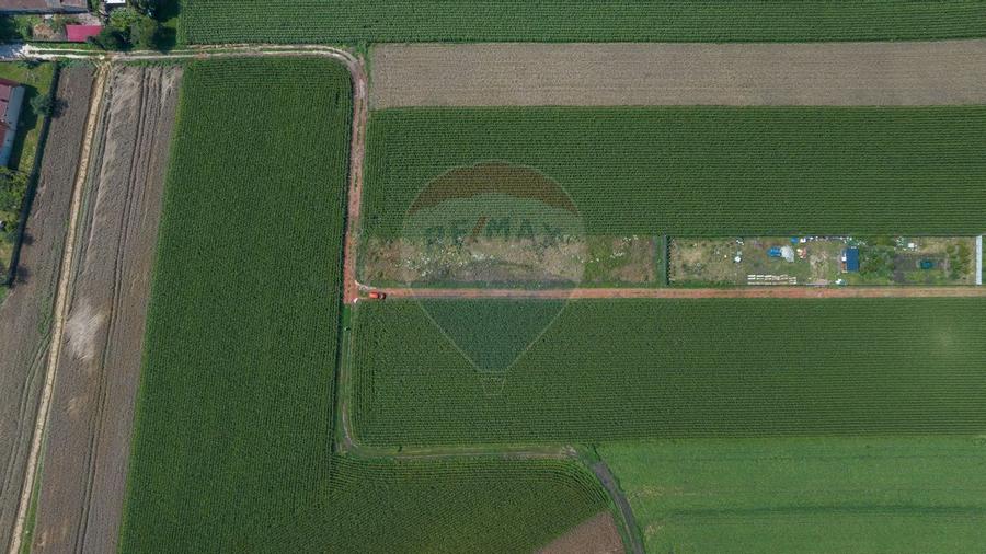 Teren de 1100 mp de vanzare in Stupini - 6