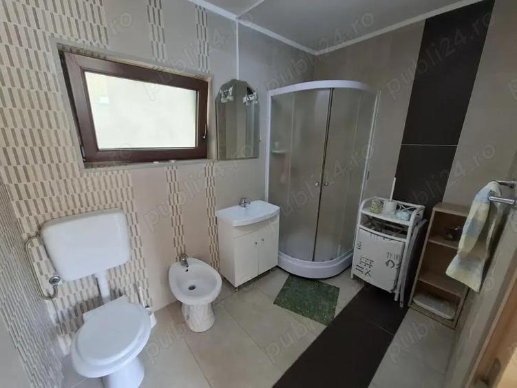 Str. Valea Rosie proprietate compusa din 2 imobile, casa P+M si una pe parter - 5