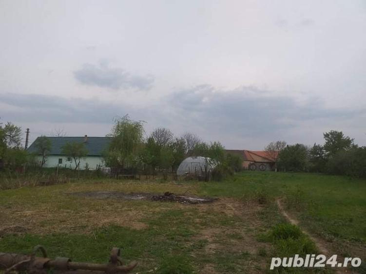 casa de vinzare in Paulis Arad - 6