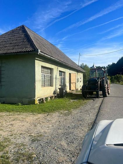 Casa + teren + padure sat Moliset, jud Bistrita Nasaud - 5