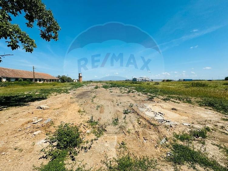 Teren 11404 m2 , Biharia la 1km de autostrada A3 si 300m de centura - 6