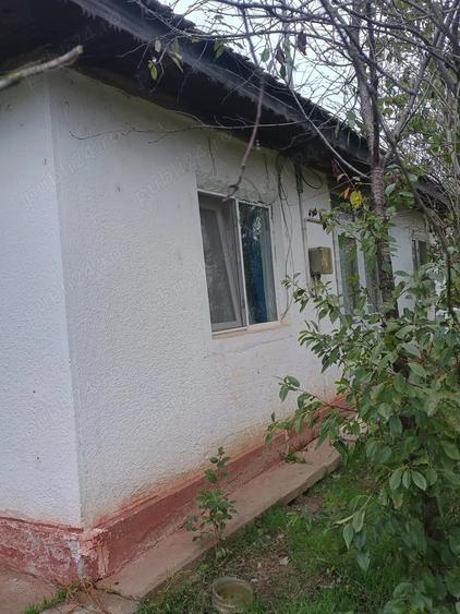 Vand casa 1130 m2 - 1