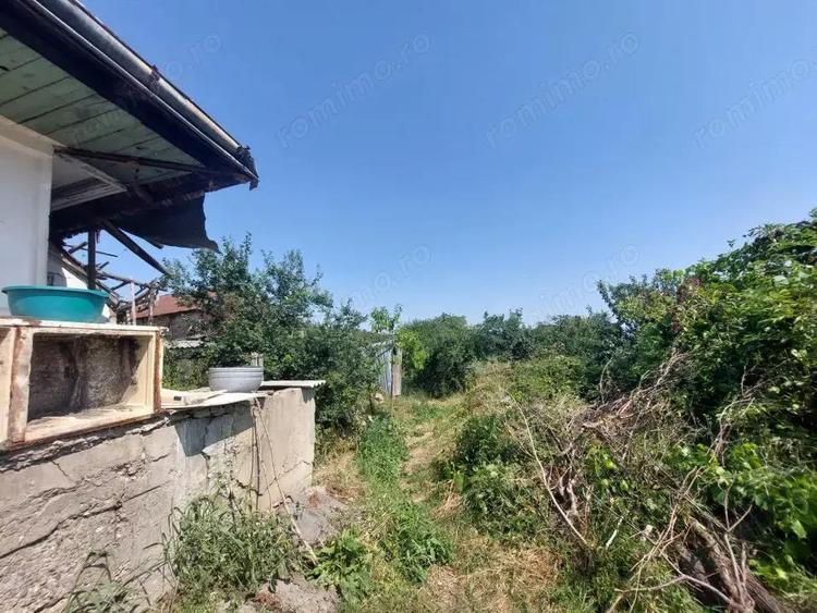 Teren pentru casa in Osebiti, Luizi Calugara - 5
