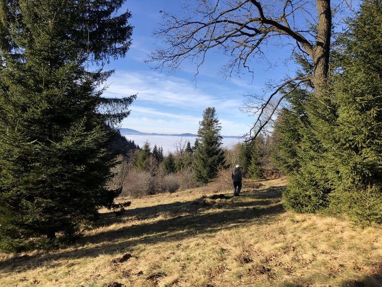 De vanzare  4900 mp teren extravilan Poiana Brasov - 3