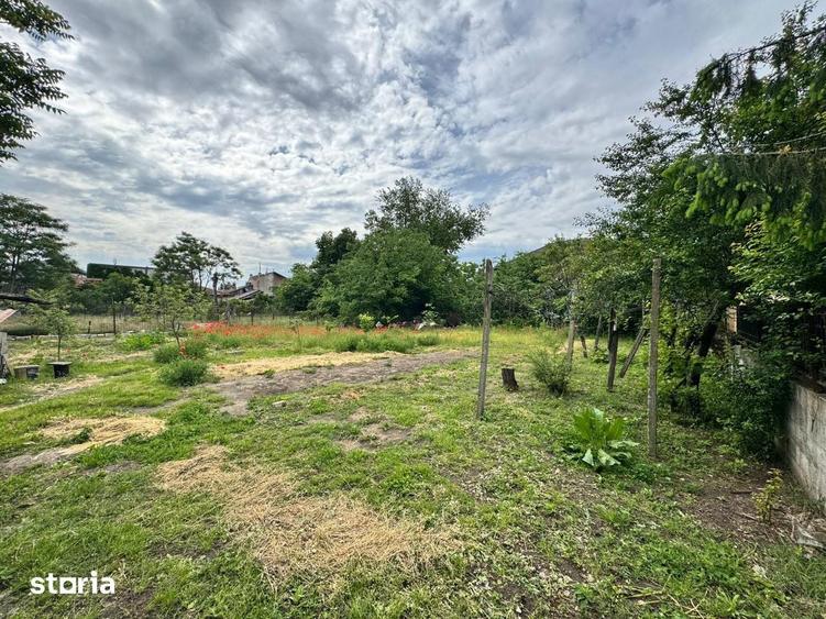 Casa si teren de vanzare 948mp Campia Islaz, Oportunitate de invest - 2