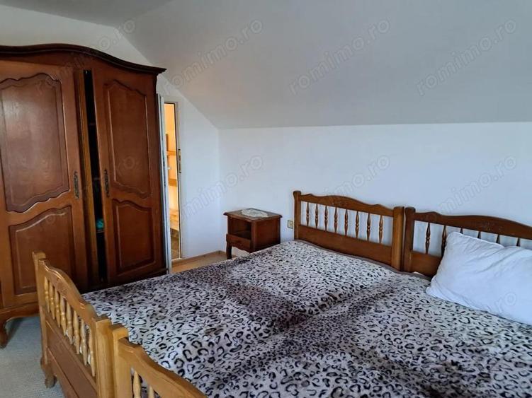 OFERTA in Bacia, Hunedoara ! Proprietate 2 case + Cabana + Livada - 3