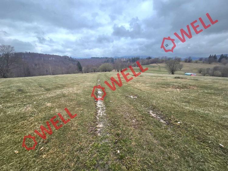 De vânzare 2 terenuri extravilane în localitatea Vama Buzăului, în zona denumită - 5