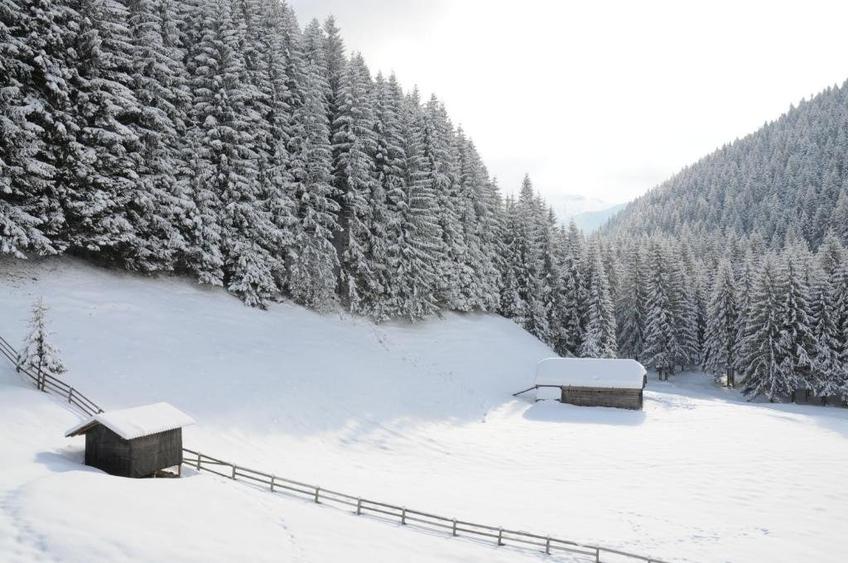 Hotel Mistral Moieciu - 19