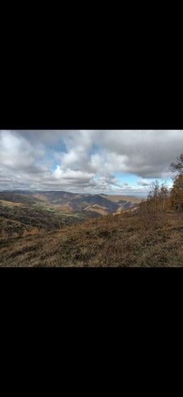 Vand Teren la muntele rece - 7