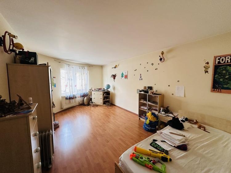 Duplex confortabil la Padure-Rosu, 273 mp construiti, 199 mp teren, P+1+M, 5 cam - 8