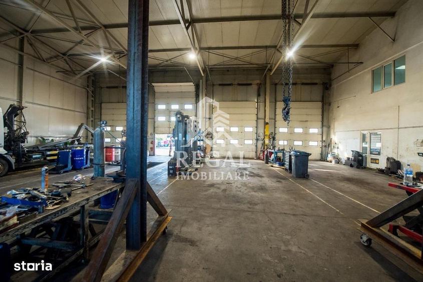 HALA INDUSTRIALA DE VANZARE CRISTUR (Hunedoara Deva) - 3