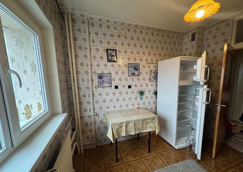 2 Camere Campia Libertatii Pet friendly - 12