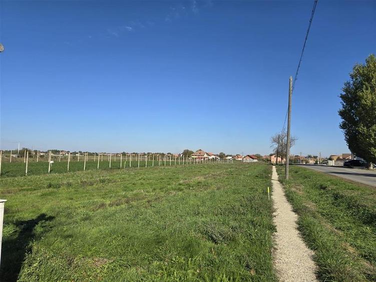 TEREN INTRAVILAN | 1400 MP | GIRISU DE CRIS - 2