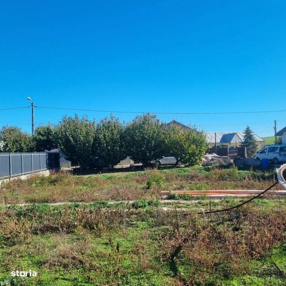 TEREN DE VANZARE IN CALARASI - 2