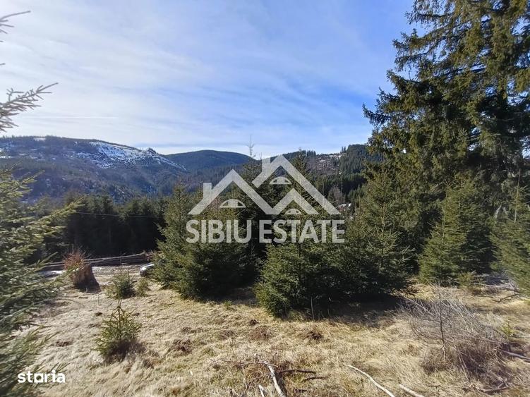 Teren de vanzare in zona montana a jude?ului Alba - 4