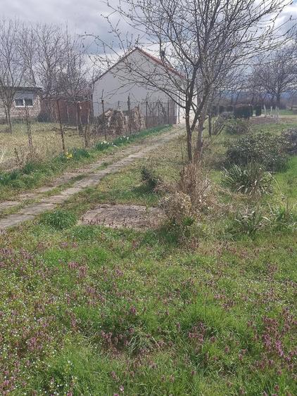 vand casa cu gradina - 2
