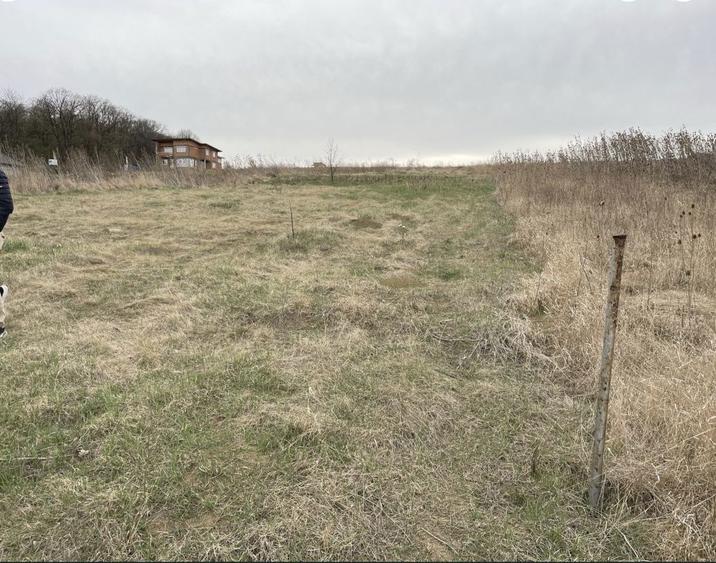 Teren intravilan 1000 mp Lebada Rai - 4