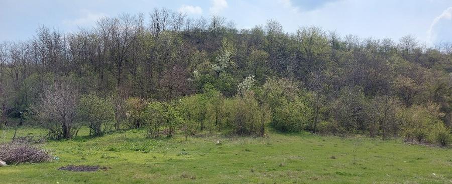 Teren intravilan 3109mp - 2