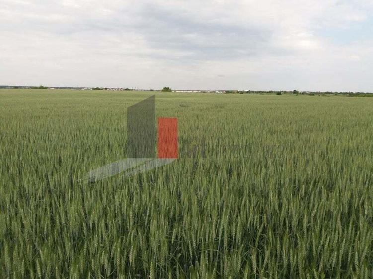 Teren Buftea cu iesire la lac - 11