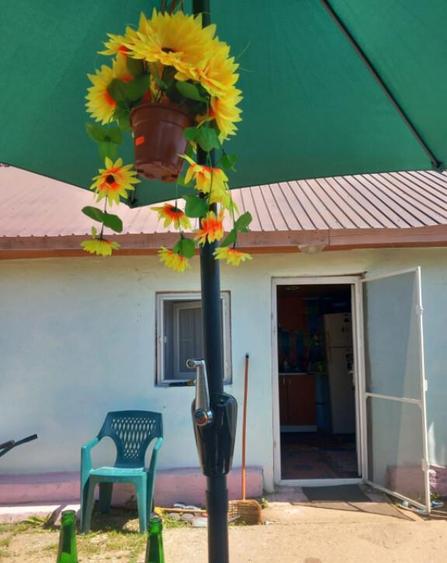 Casa de vanzare in Lacrita Mare, la 18 km de Craiova, strada - 3