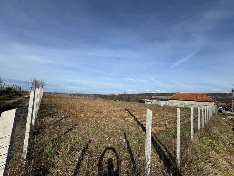 Vand teren intravilan in localitatea Copacel, Bihor, suprafata 3082 mp - 6