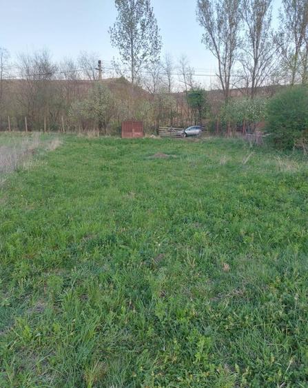 Teren intravilan, utilitati, CF, sat Sutu Ciurila - 5