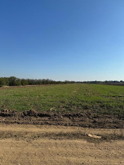 Vanzare Teren Intravilan 20 000mp Magurele Vartju - 1