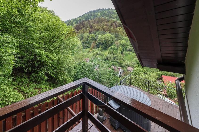 Casa in inima naturii - potential turistic - Centrul Istoric! - 35