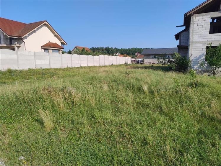 RECO Casa 4 camere, Alparea - 5