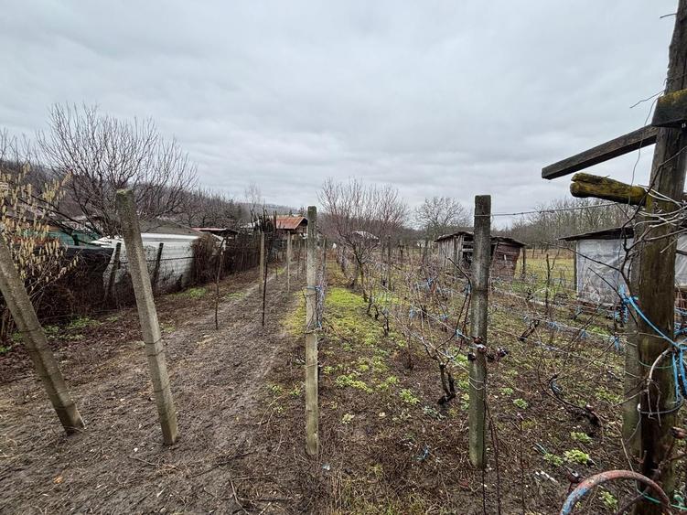 Teren+casa batraneasca+ teren agricol - 6