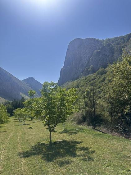 Teren de vanzare zona Valisoara Jud Alba - 7