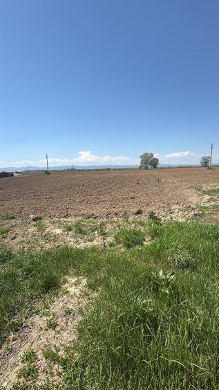 Teren intravilan de 1000 mp, în Buhoci