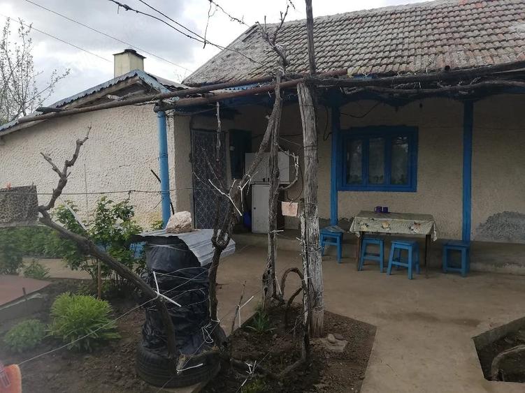 Casă cu 3 camere cu Teren 2500 Mp în Balabancea