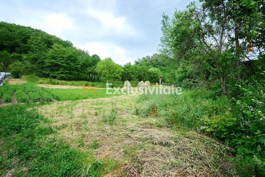 Casă cu 3 camere cu Teren 4696 Mp în Central