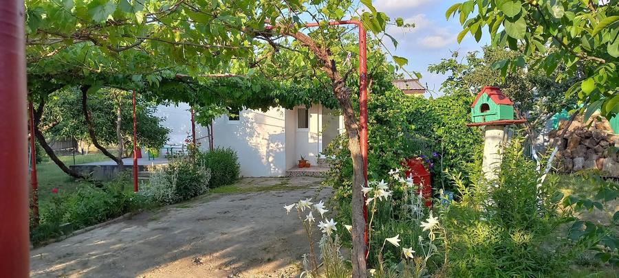 Casă cu 3 camere în Grădina