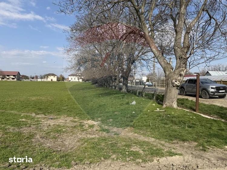 Teren de 5000000 mp, în Slobozia Ciorăști
