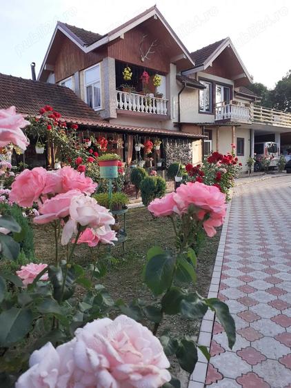 Casa de vanzare : sat. Serel, com.Pui, jud Hunedoara, cu spa?iu comercial ?i iaz de peste. - 7