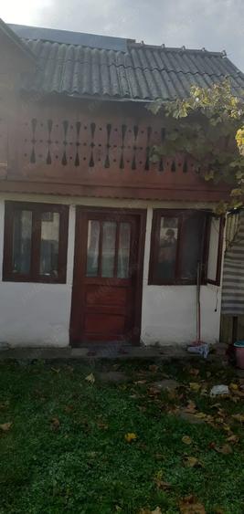 Casa cu curte mare ?i vie pe spalieri - 3
