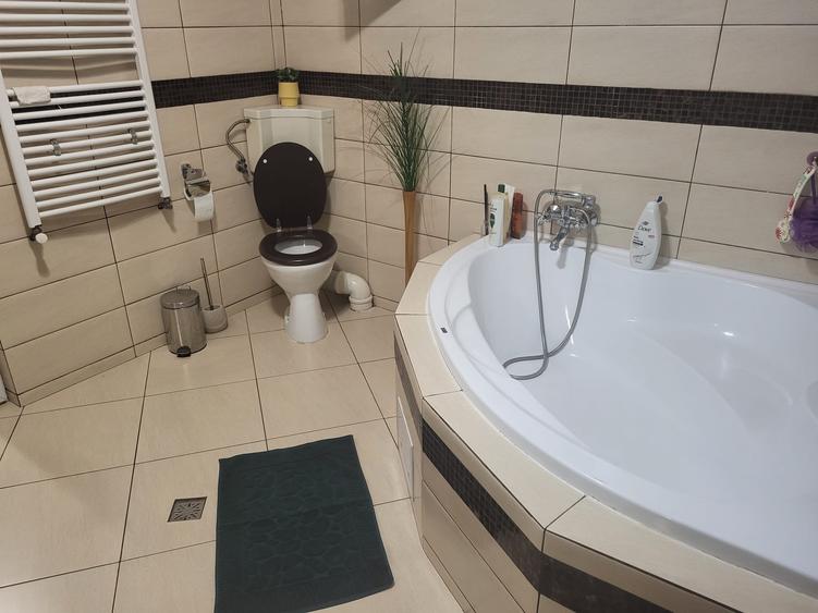 De inchiriat vila Bulevardul Ferdinand - 27