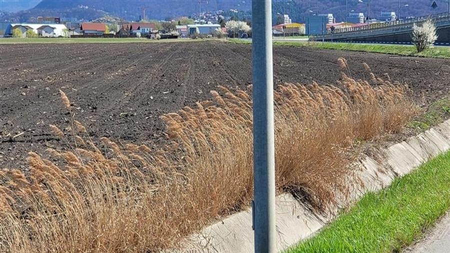 50.000mp teren intravilan, Clasa Master,  in Brasov spre Stupini - 15