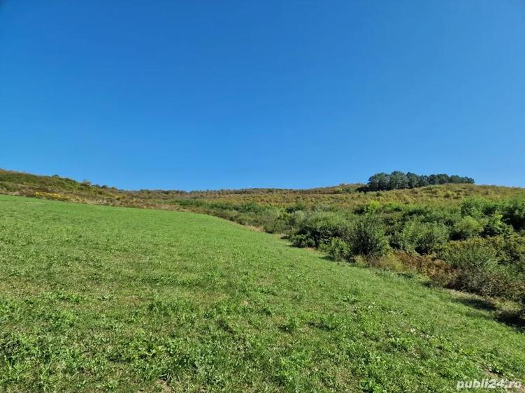 vand teren intravilan agricol 4500 mp in snagov la 40000 euro, - 4