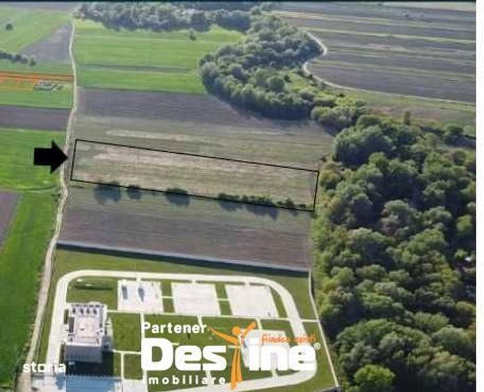 Teren intravilan 7567mp, certificat de urbanism, Magurele - 1