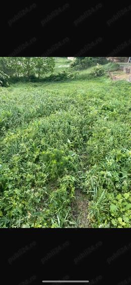 Vand casa la ?ara. - 7