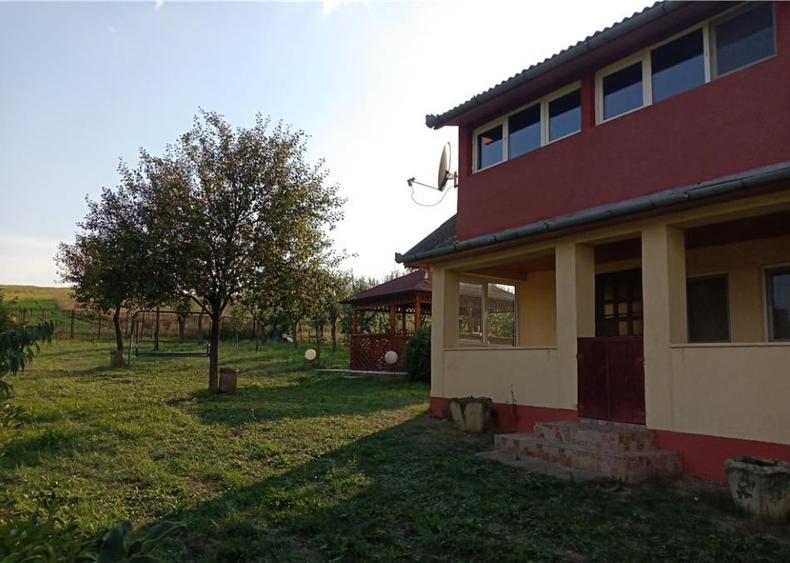 Teren 11.600 mp intravilan, cu casa si utilitati pe proprietate - Campenesti - 1