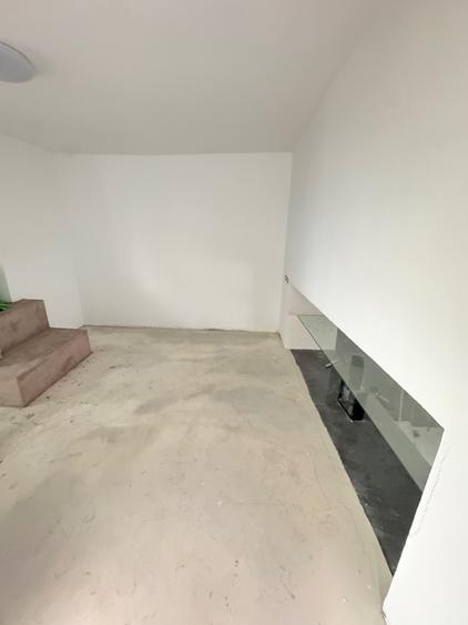 Spatiu comercial in Centrul orasului, 163 mp teren - 3