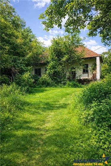 Domeniu verde autentic,  +5.000mp, front la DJ, Valcele, Brasov -- Covasna - 2