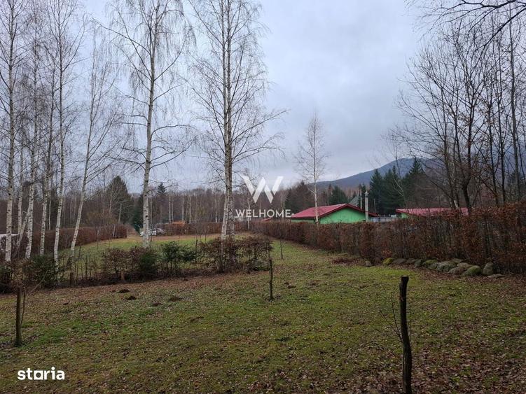 Teren deosebit pozitionat, cu livada, langa padure, pe Valea Avrigulu - 1