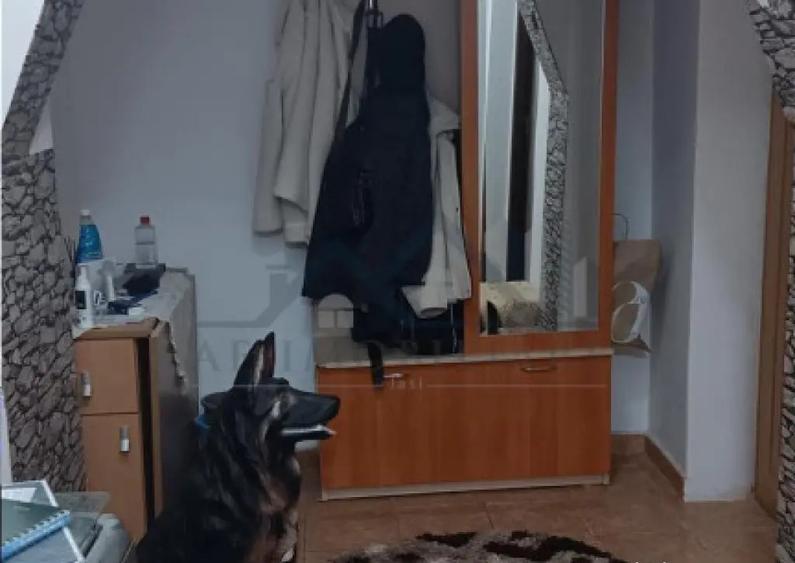 Tomesti Ap. 2cd s=50mp renovat, et 4/4 cu pod bloc pe cadre - 3